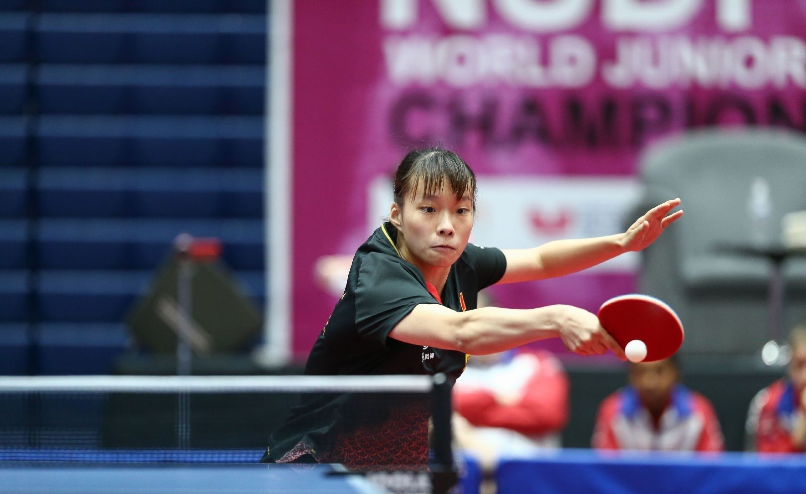 观众感受到 观众感受到